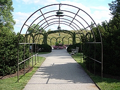 141 Longwood Gardens [2008 August 23]